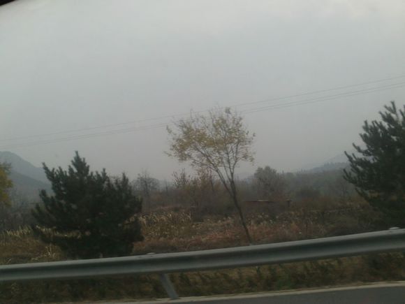 “射鸡”历险记打鸡血然后。