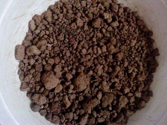 营养土通用型养花种菜土,砖土和营养土养花哪个好