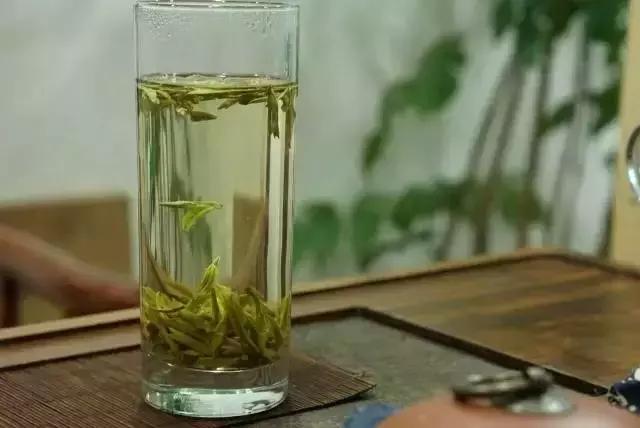 桐柏哪里买茶好,桐柏茶旅位置