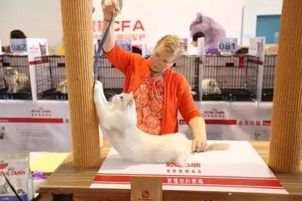 展会信息8月份,展讯最新消息