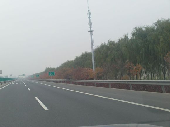 “射鸡”历险记打鸡血然后。