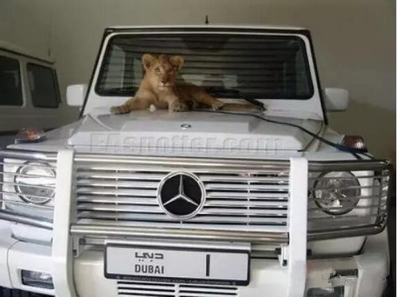 迪拜最贵的车竟然是这辆,就算王思聪那么有钱也买不到它一个牌!