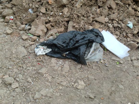 “射鸡”历险记打鸡血然后。