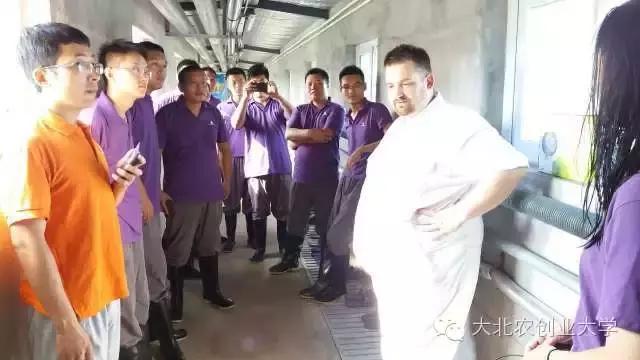 母猪妊娠检查最佳时间,母猪早期妊娠诊断的方法有哪些