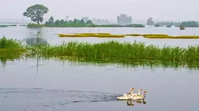 金湖自然风光,金湖县美丽风景