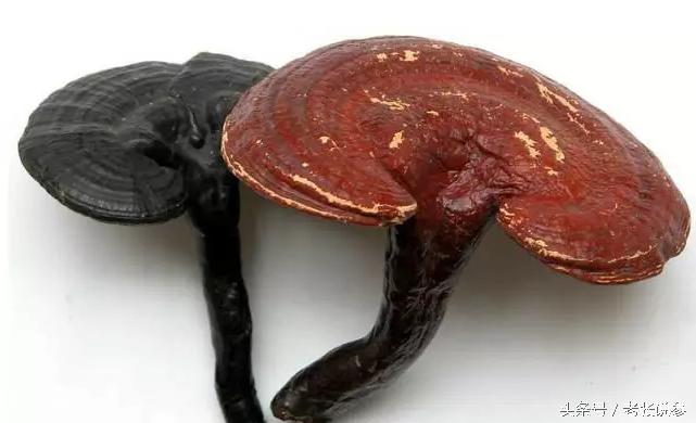 浜哄弬娉￠厭閰嶆柟澶у叏,浜哄弬鍜屼粈涔堟场閰掑ソ