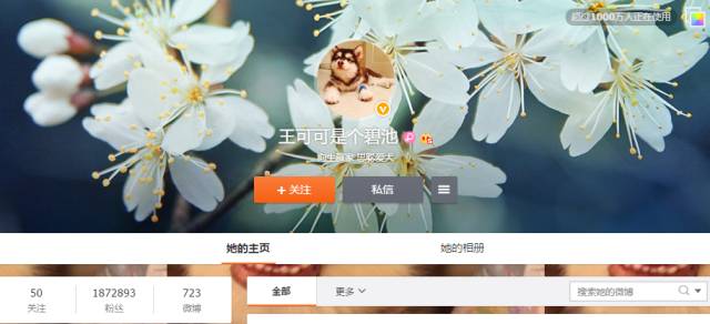 自媒体大事件,网红大v的猫狗