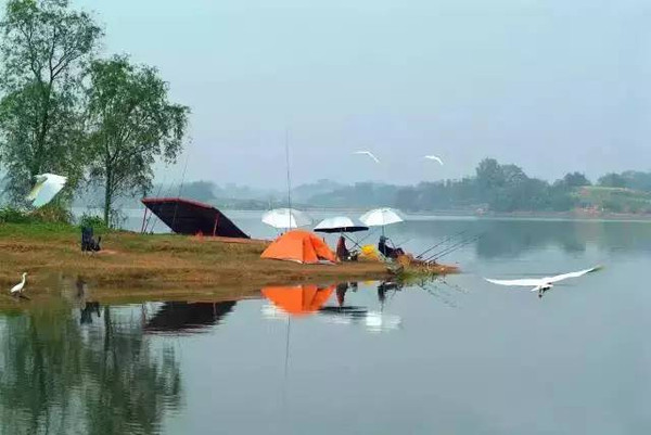 分享四川最值得去的9个地方景点,福利市景点