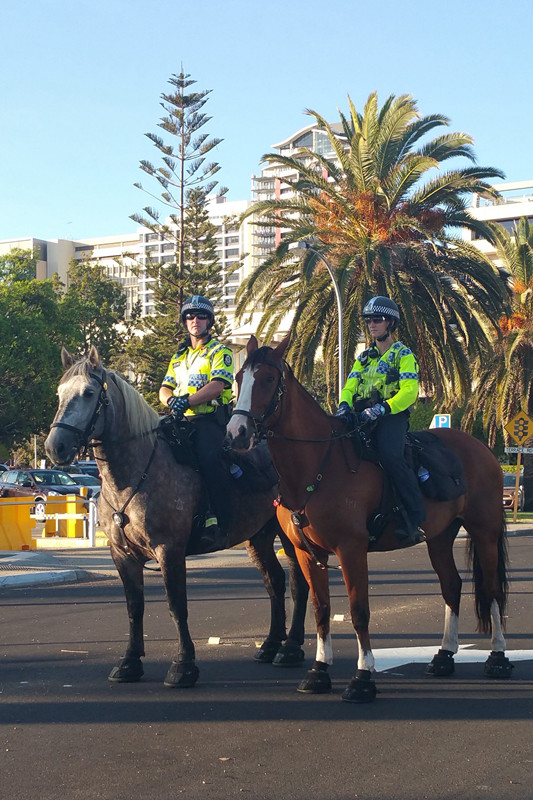 珀斯最孤独的城市,为什么珀斯是最孤独的城市