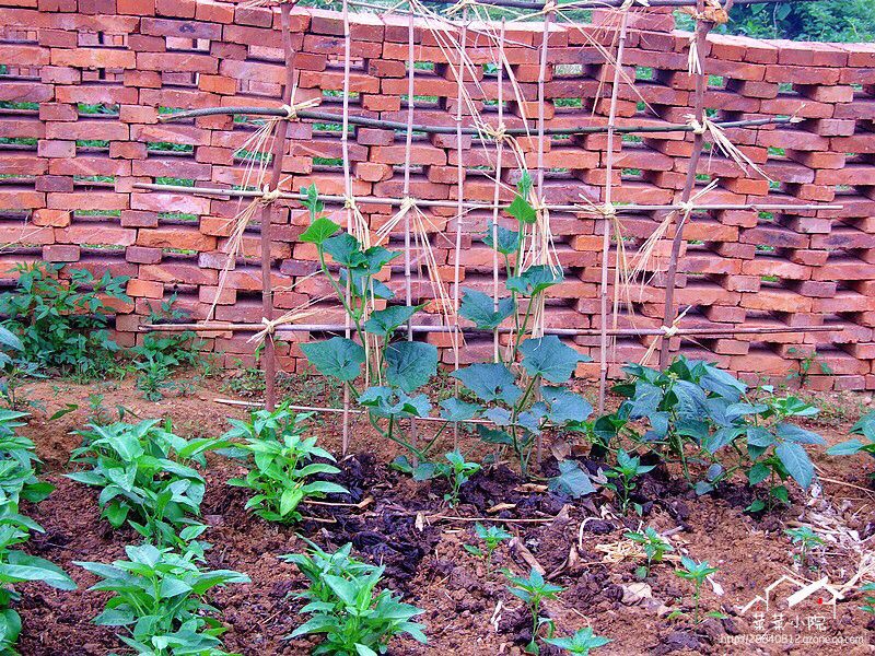 哪里适合隐居过田园生活,唯美的田园隐居生活