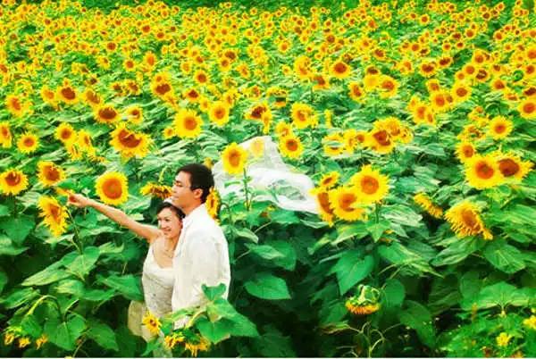 云南旅拍婚纱照推荐哪家最好,云南丽江拍婚纱照一套多少钱