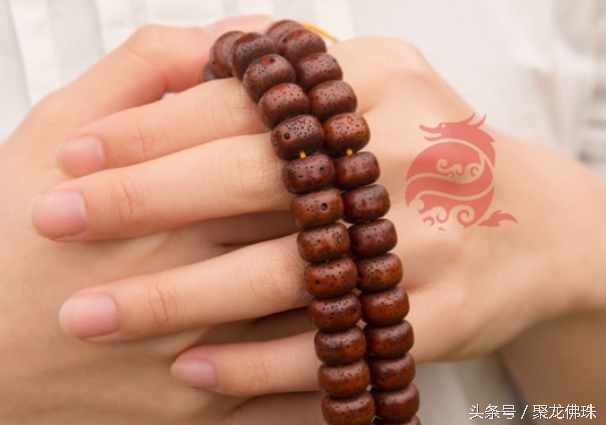 星月菩提寿命多长,星月菩提一般寿命