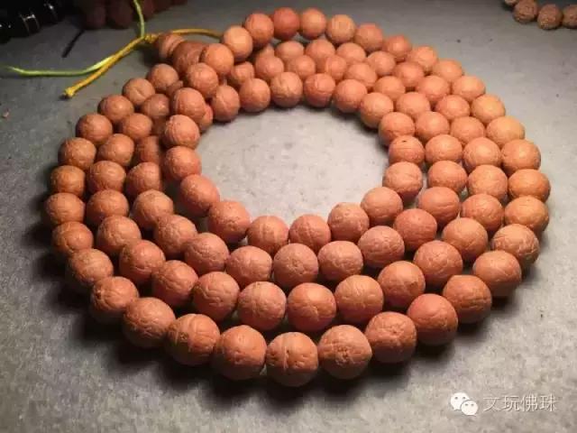 尼泊尔凤眼大的好还是小的好,尼泊尔凤眼菩提好还是金刚好