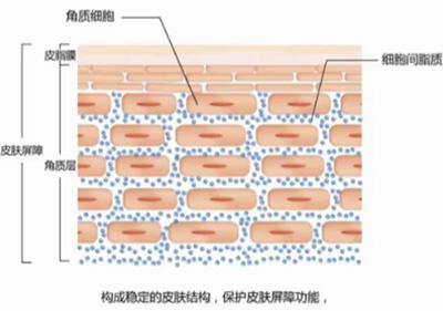 洁面仪真的可以用吗,洁面仪真的好吗