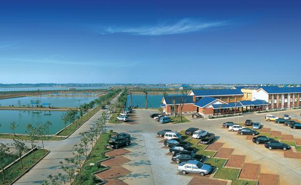 最新长沙旅游推荐,去长沙旅游必去的景点有哪些