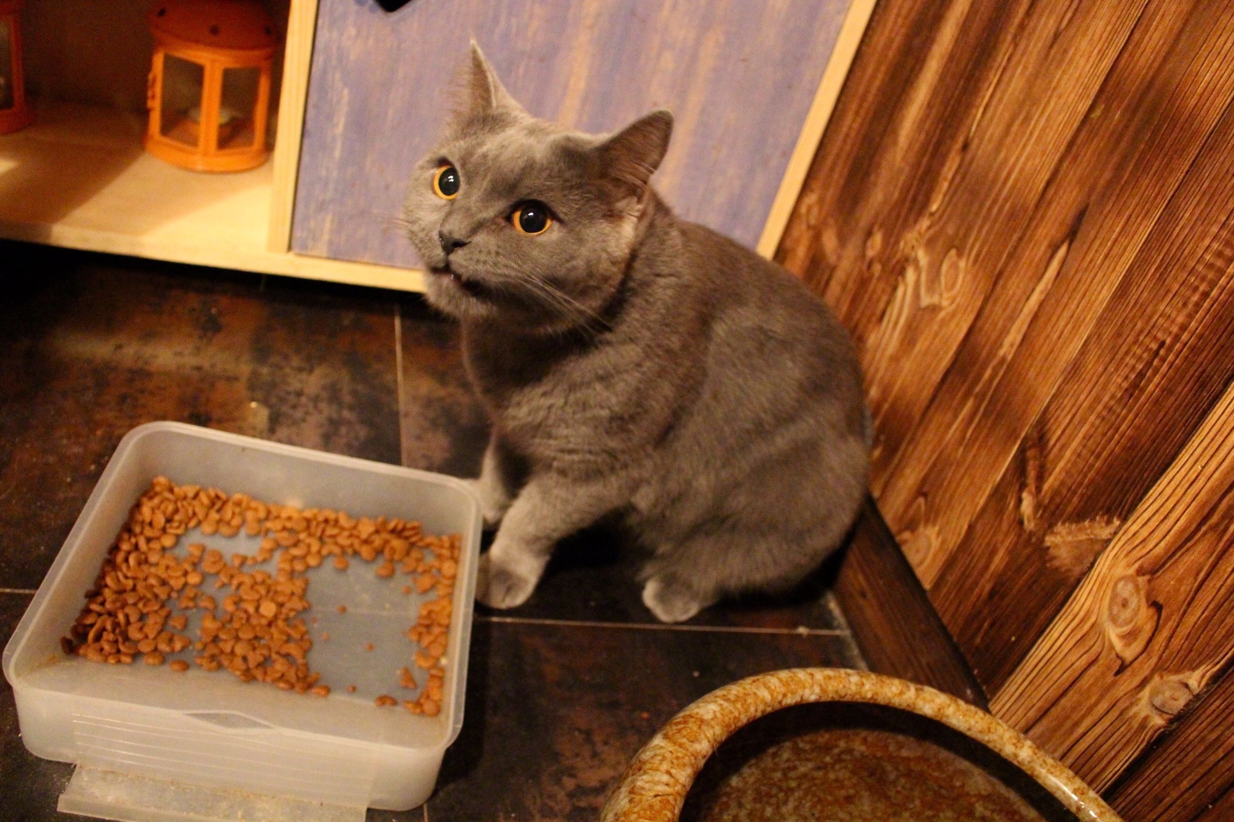 武汉精致下午茶推荐,武汉下午茶推荐