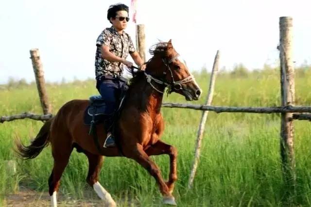 韩城黄河骑马,韩城古城骑马