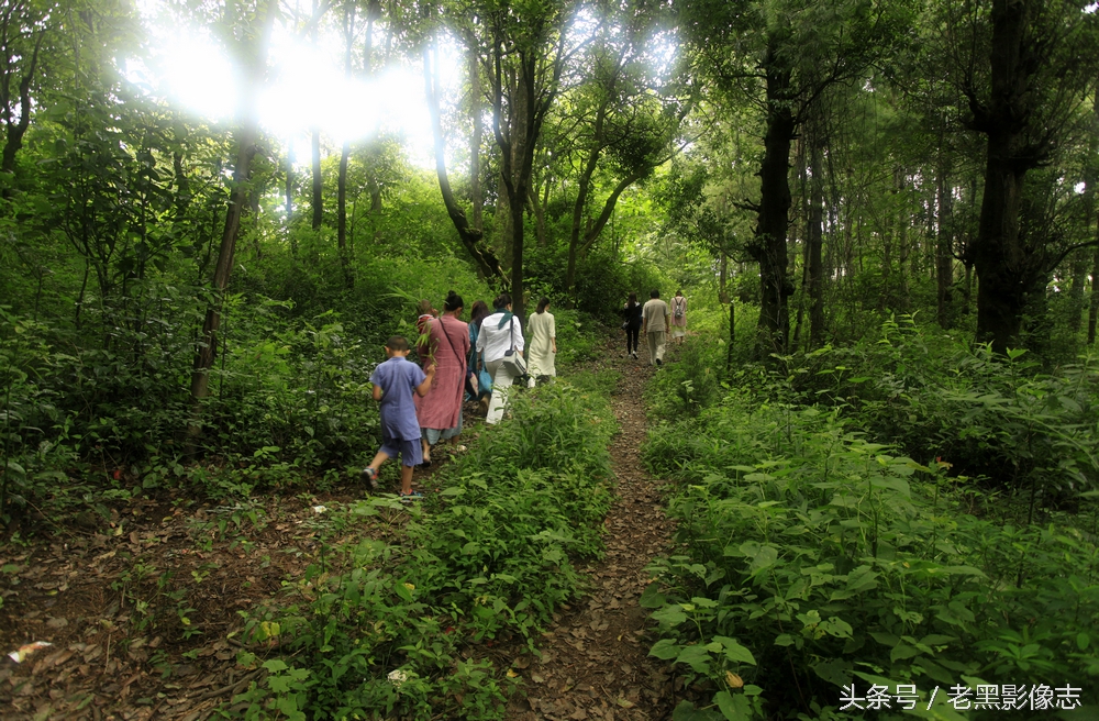 苍山西坡莲花峰,大理苍山秘境在哪里