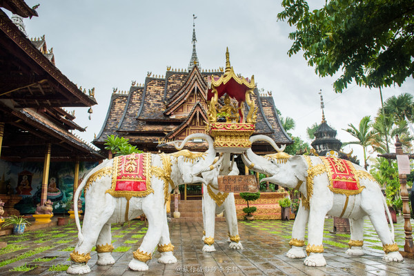 西双版纳住哪个傣族园舒服,西双版纳傣族园玩什么