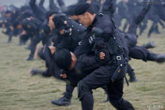 解放军所有特种大队,解放军特战队和武警特警哪个强