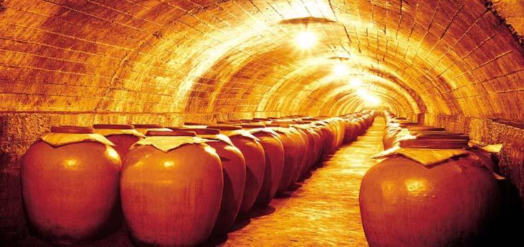 泸州老窖达人版,泸州老窖达人直播