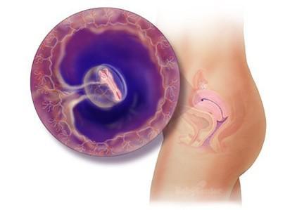 惊奇宝宝第一季,怀孕过程中的十大惊奇发现