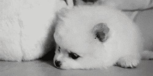 陪伴是最长情的告白你同意吗,陪伴是最长情的告白请勿连赞