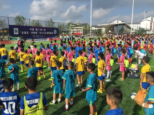 从中国足球看中国教育,在中国看足球比赛