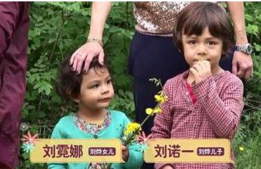 姚晨和小土豆最新消息,姚晨小土豆