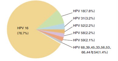 hpv哪几个型号最可怕,hiv和hpv哪个更可怕