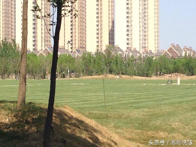 权健青训基地,权健新建足球场最新消息