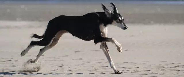 就算吃土也要买的好物,就算吃土也要买的套装