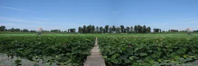 盘锦免费一日旅游景点推荐一下,盘锦旅游攻略必去景点