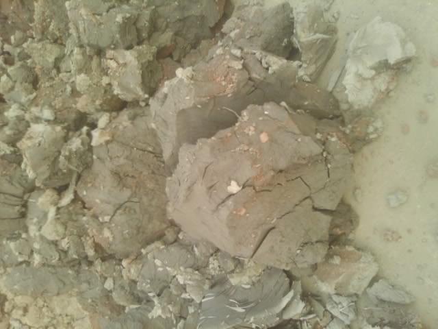 营养土通用型养花种菜土,砖土和营养土养花哪个好