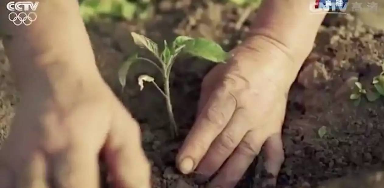 里约奥运会巴西名模开幕式走秀,里约奥运会开幕式桑巴