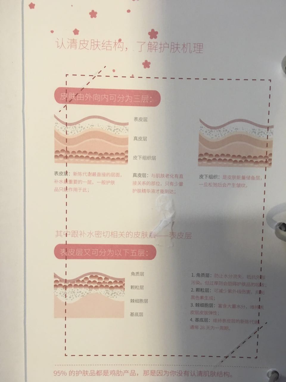 独家测评｜《青云志》修仙手册为啥狂虐《诛仙》？（文末雨伞开奖）