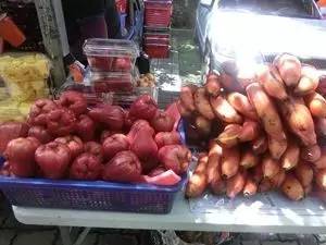 王蕊和乔杉相亲全集,王蕊半决赛