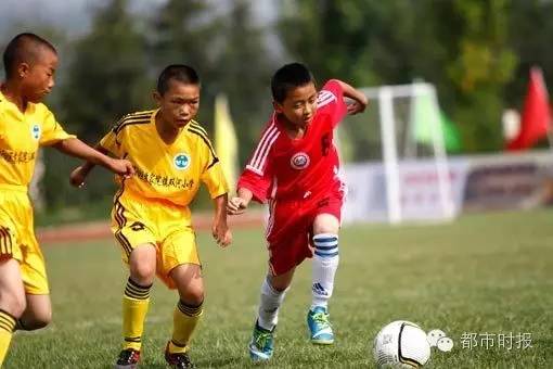 又是别人家的孩子,又是别人家的孩子下一句怎么说