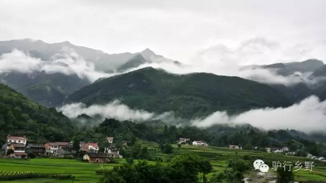 琛屾憚姹変腑,琛屾憚闄曡タ