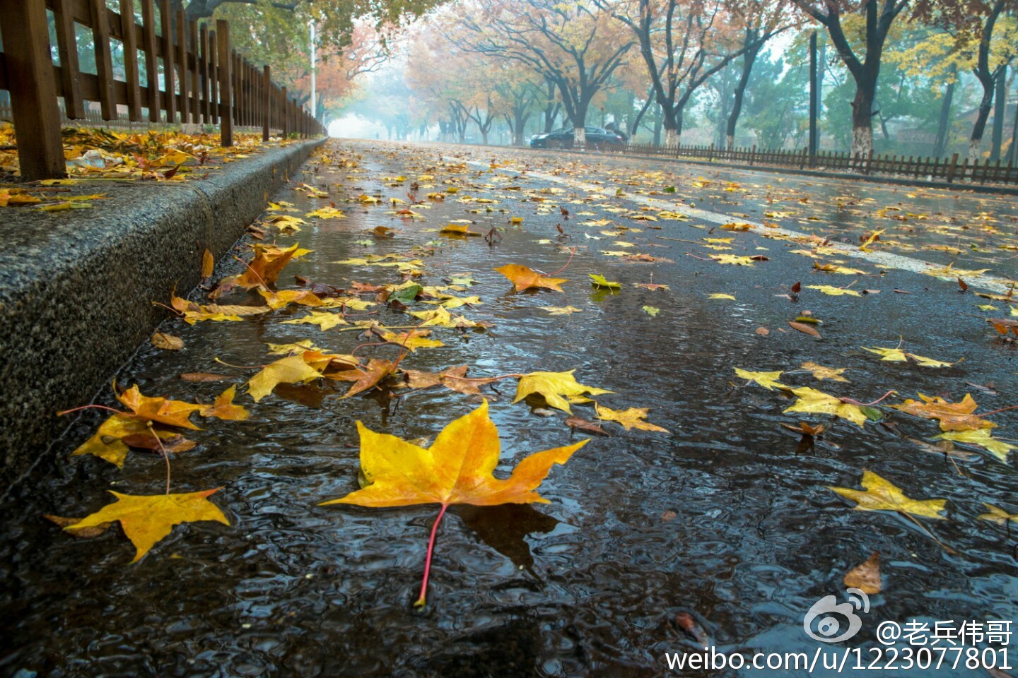大连旅顺口好吗,旅顺值得住一晚吗