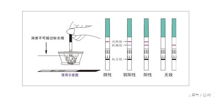 怎样精准判断排卵期,怎么精准查排卵期