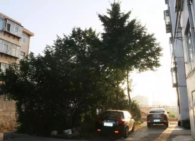 瀹跺湪杩滄柟鐨勫,瀹跺湪娴烽槼