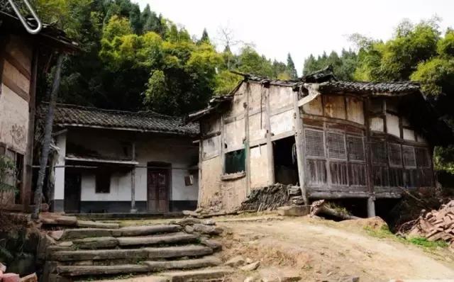 阿里山的姑娘邓禹平,阿里山的姑娘邓禹平结婚了吗