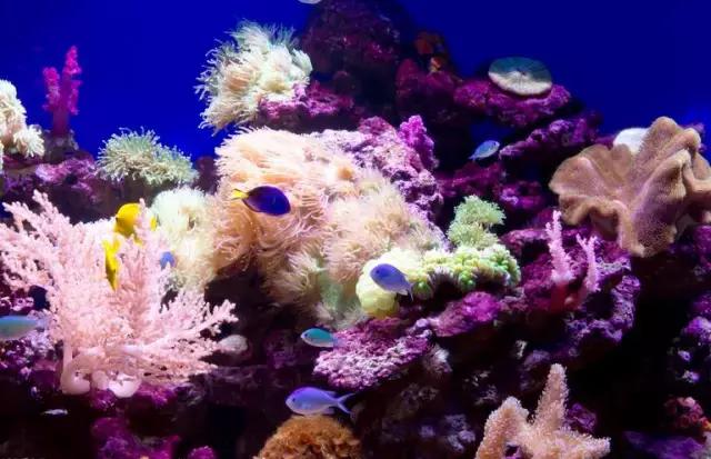 重庆未来五年震撼规划,重庆这5年的变化