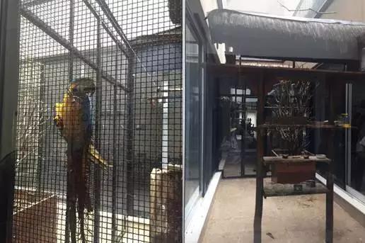 世界杯足球先生倒挂金钩里瓦尔多,想不到你是这样的人原版