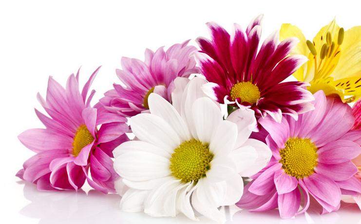 肾衰竭的人皮肤会怎样,肾衰竭皮肤脱皮怎么回事