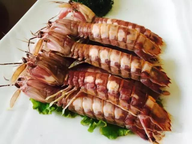 浙江最美的6个渔村,浙江最美渔村