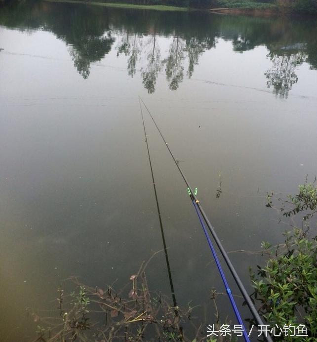 老鬼鱼饵料钓鳊鱼,老鬼专钓鳊鱼饵料配方