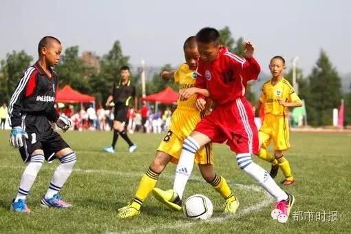 又是别人家的孩子,又是别人家的孩子下一句怎么说