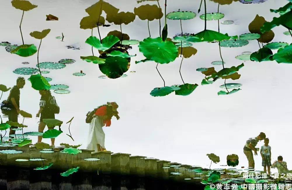 夏之恋完整版,夏之恋完整版免费阅读